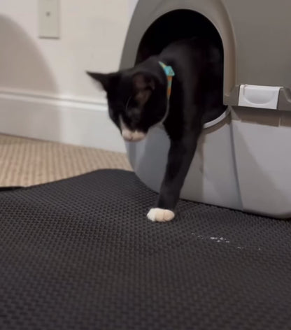 Waterproof Double-Layer Cat Litter Mat – Non-Slip, Washable Pet Pad for Clean Floors